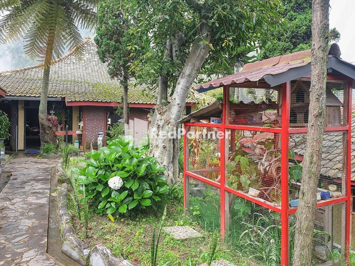 Ngadisari Hotel Yoschi'S Bromo At Desa Wisata Bromo المظهر الخارجي الصورة