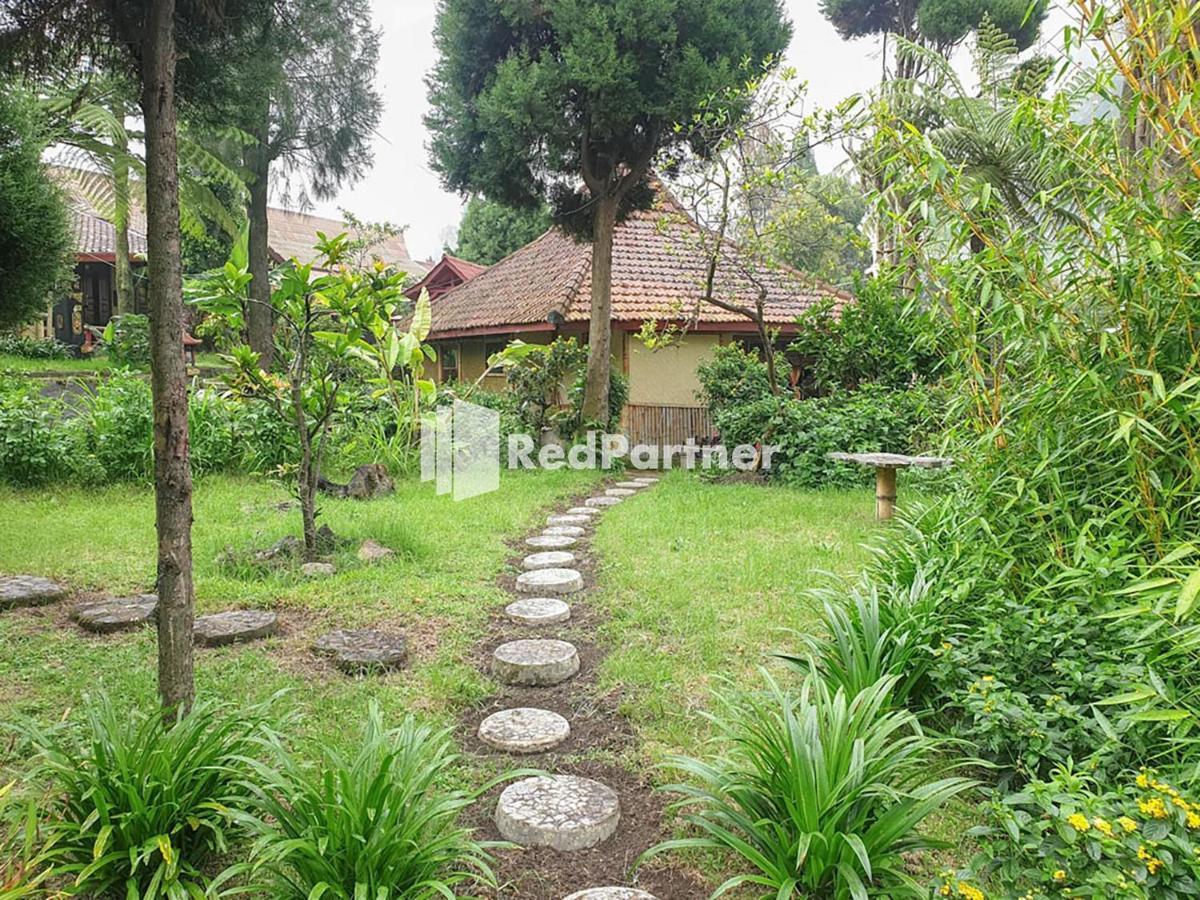 Ngadisari Hotel Yoschi'S Bromo At Desa Wisata Bromo المظهر الخارجي الصورة